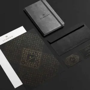 Lurilux stationery package exhibiting logo and brand development